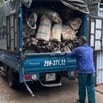 Cần Bán Đất Chính Chủ Đường Cửu Việt 1 Gia Lâm Hà