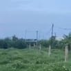 Cho thuê 2000m2 đât trồng cây lâu năm để sản xuất, phục vụ hoa màu