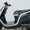 Honda Dunk50