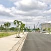 📍 Đất đẹp ở Trảng Bàng, Tây Ninh – Đường 10m – Giá chỉ 750 triệu