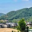 BÁN LÔ ĐẤT VÀNG 8000M² - ĐƯỜNG BÃI DÀI, TIẾN XUÂN, THẠCH THẤT