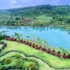 Chủ NGỘP Cần Bán 165m2 đất Nghỉ Dưỡng Bảo Lộc Giá chỉ 990tr