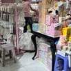 Tuyển nhân viên lễ Tân thu ngân phụ kho hàng trên 20 tuổi 