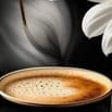 🎯 TUYỂN NHÂN VIÊN PHA CHẾ CAFE
