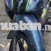 Elegant 50cc