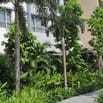 Cần tuyển giúp việc nhà khu vực Q2