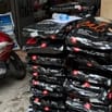 TUYỂN NHÂN VIÊN GIAO HÀNG PET SHOP - Quận 11