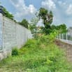 130m2 đất Tân Phú Trung, Củ Chi  cần tiền bán gấp giá đầu tư chỉ 850tr
