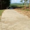 Cho thuê đất trống thích hợp làm trang trại vườn 