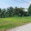 NGỘP cần bán gấp 1223m2 chỉ 1ty6 ( 1tr3/m2) MT Nguyễn Thị Thạo Củ Chi