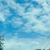Chính chủ cần bán 200m3 thổ cư mặt tiền đường DT761 Kinh Doanh giá rẻ