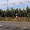 BÁN ĐẤT MẶT TIỀN (DT: 9M x70M),  TRUNG TT VĨNH AN, ĐỒNG NAI