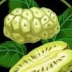 VIỆC LÀM HÀNH CHÍNH KHU VỰC TPHCM