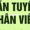 Tuyển 1 kế toán văn phòng nhiều kinh nghiệm, làm tại Bình Dương