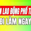 Cần gấp nam nữ lao động phổ thông