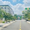 Đất mặt tiền đường Tỉnh Lộ 824 - Ngay thị trấn Đức Hoà - gần Vinhomes