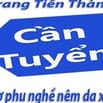 Cần Tuyển : 2 Thợ phụ nghề nệm da xe hơi -  tại : CTy Trang Tiến Thành