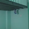 Cần cho thuê nhà trọ cao cấp, tầng trệt, như chung cư mini