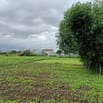 Bán đất hẻm Nguyễn Khuyến, phường Thắng Lợi,0988865312 TÍN