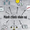 Tuyển Dụng 2 Bạn Hành Chính Nhân Sự - Lương Cơ Bản 9tr