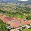 Đất Ven Đà Lạt Giá Chỉ 520 Triệu, SHR, View đồi Thông Mát Mẻ