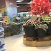 GẤP SIÊU THỊ TUYỂN NHÂN VIÊN _ VIỆC LÀM ỔN ĐỊNH LƯƠNG CAO