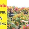 Cẩn tuyển 01 Nam có sức khỏe tốt, phụ bán cây Kiểng tại Gò Vấp TPHCM