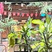 Việc làm xoay ca linh hoạt ở Bình Thạnh & Phú Nhuận 