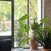 VIỆC LÀM DÀNH CHO SV - LĐPT QUẬN GÒ VẤP
