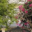 BIỆT THỰ NGANG 10M LIÊN PHƯỜNG QUẬN 9 DT 180M2- 23 TỶ 