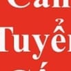 TUYỂN GẤP TÀI XẾ XE TẢI - XE NÂNG - KẾ TOÁN