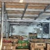 Tuyển lao động phổ thông bốc xếp