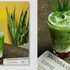CẦN 6 BẠN BÁN HÀNG TẠI CHI NHÁNH COFFEE