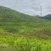 69.000đ/m2 bán đất làm vườn 10hecta Ninh Sơn, Tx Ninh Hoà, Khánh Hoà