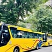 Tuyển lái xe bằng D lái xe 16, 29 chỗ, có thể  đi làm luôn