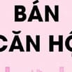 Chính chủ bán căn hộ chung cư 96A Định Công, toà A, diện tích 233m2