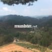 Đất nghỉ dưỡng - 200m mặt tiền suối trong vắt P. Langbiang Lâm Đồng