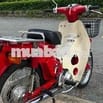 DD70cc nhập Nhật honda