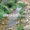 bán nhà vườn khủng  bám suối 16.000m cób400m đất ở phù hợp nghĩ dưỡng