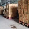 Việc Làm Ngay – Lao Động Phổ Thông Thu Nhập 8–10Triệu