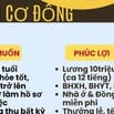 Tuyển NV Bảo vệ Cơ Động , trực tuần tra kiểm soát các mục tiêu ,các Q 