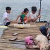 BÁN KHU DU LỊCH CÓ VIEW ĐẸP CỰC HIẾM - NHÌN LÀ MÊ !