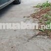 Bán Nền liền kề với KĐT Phú Quý - Phú Cường