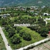 Cần tiền bán nhanh 3 lô đất Suối Tiên Ven Nha Trang