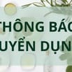 VIỆC LÀM XOAY CA CHO SINH VIÊN TẠI TÂN BÌNH