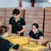 Tuyển gấp 2 nhân viên LĐPT đóng gói bao bì