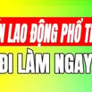 CẦN TUYỂN GẤP LAO ĐỘNG PHỔ THÔNG THỜI VỤ HOẶC LÂU DÀI ĐI LÀM NGAY
