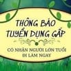 Cần 3 LĐPT làm việc tại cửa hàng 