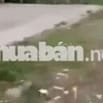 Bán 3 105m² đất , có nhà kho 800m²