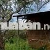 có nhà điện nước đầy đủ sau có suôi  đường đất 8m thông xắp lên nhưa